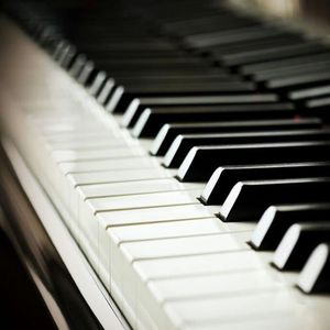 97超级碰碰碰.免费视频
